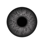 OCULIX