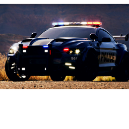 Bounty Hunters | UD Criminals training center