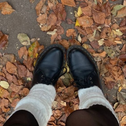 ⋆🦔⭒˚｡⋆🍂