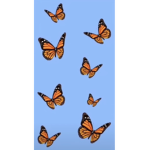 F R I E N D ZS