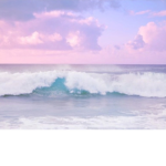 Ocean Vibes Group <3