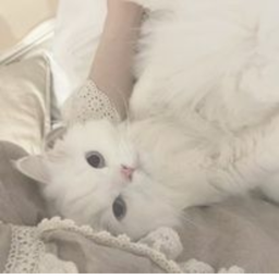 🎗️🐇💝🎁🎗️