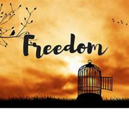 Freedom