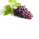 MONKEY GRAPE