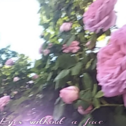 ୨˚̣̣̣୧