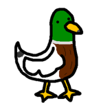 Find The Quacks Official Group