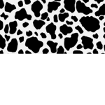 Cows_xxx