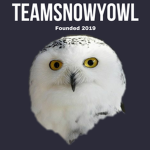 TeamSnowyOwl