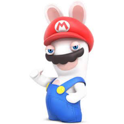 THE TIME HAS COME TO ESCCAPE THE RABBIDS