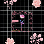Rosie roses