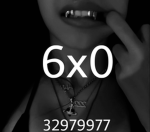 6x0
