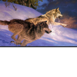 Wolfie clan#