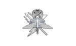 [75TH] Regimental Reconnaissance Company