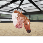 RRP RESCUE RANCH