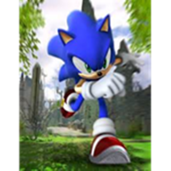 Sonic the Hedgehog Roleplay 