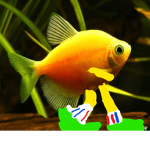 Goldfish's Weather Channel