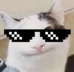 AlexStudioo