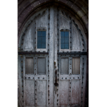 The Back Door