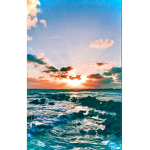 AESTHETIC~SUNSET