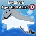 Adopt A Pet Shark