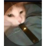 My cat smokes a jewel