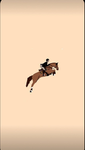 Lemuix horse riding clothes