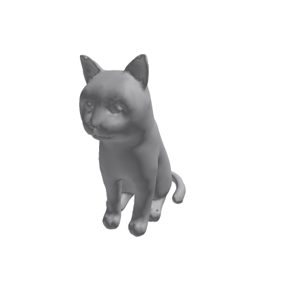 cat thing