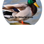 Felix the Viking fan group