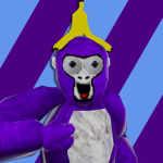 Mr monkeys jungle