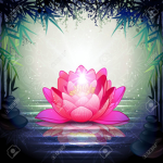 Lotus Official