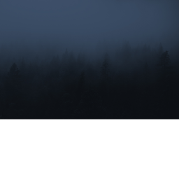 The Void