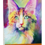 Kat kitty group!
