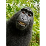 The Baboon Club