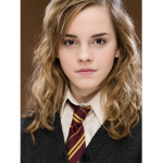 The Harry Potter Fan Club and Other Friends Too!