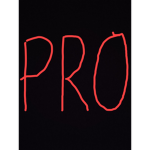 Pro Big Fan Group