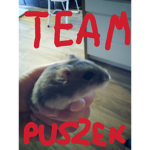TEAM HAMSTER_PL.