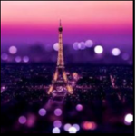 Paris Fan Group YT