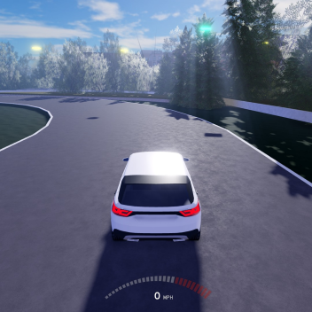 OPEN WORLD RACING
