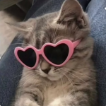 Llifeloves