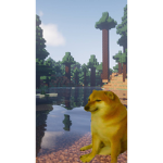 C h e e m s Community