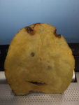 rbxbendi fan group