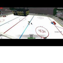 Professional Ice Hockey