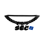 Sec (Exclusive Business CEO chain)