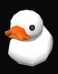 White duck Clothing