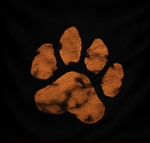 _Tiger_army