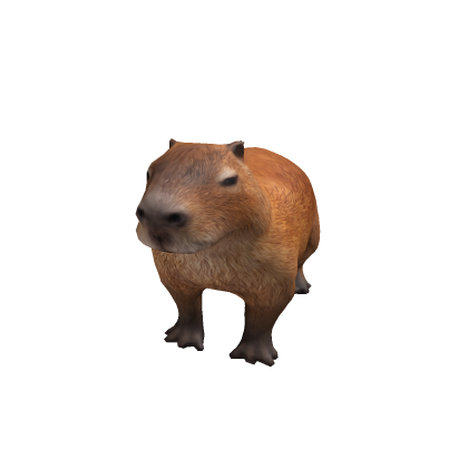 Capybara Pet