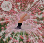 ~ Master Ballet Academy ~