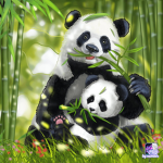 Psycho for Pandas