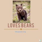 Loves bears
