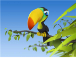 toucan lovers 2